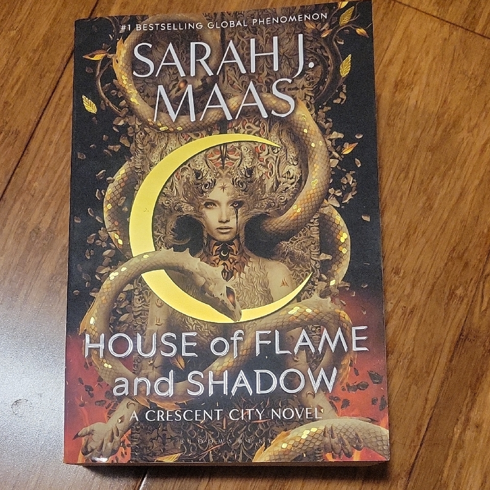 House of Flame and Shadow Novel